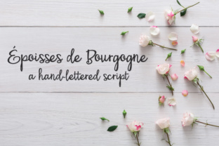 Reviewing PN Époisses De Bourgogne for Brand Work